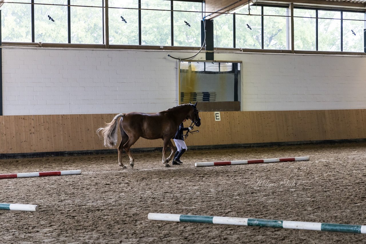 Bild 54 - Pony Akademie Turnier